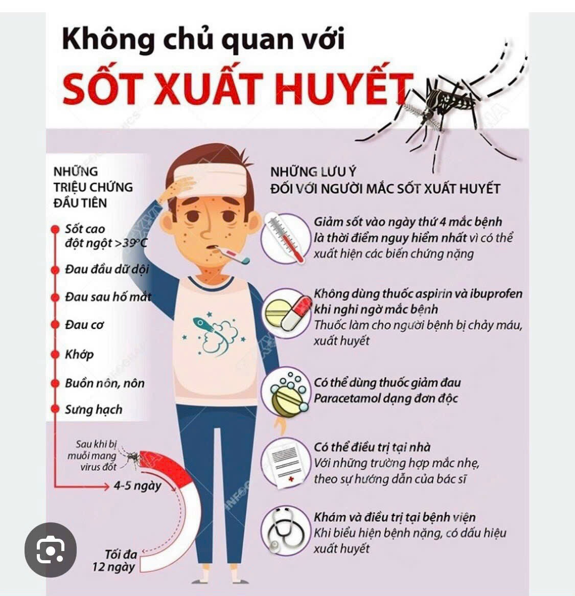 Bệnh sốt xuất huyết